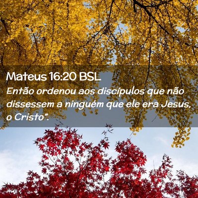 Picture 02 - Mateus 16:20 BSL - Então ordenou aos discípulos que não dissessem - Bible Verse Picture