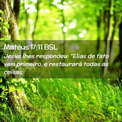 Picture 02 - Mateus 17:11 BSL - Jesus lhes respondeu: “Elias de fato vem - Bible Verse Picture