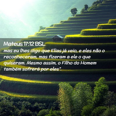 Picture 02 - Mateus 17:12 BSL - mas eu lhes digo que Elias já veio, e eles não - Bible Verse Picture