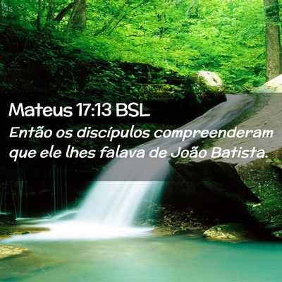 Picture 02 - Mateus 17:13 BSL - Então os discípulos compreenderam que ele lhes - Bible Verse Picture
