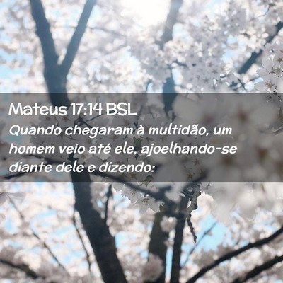 Picture 02 - Mateus 17:14 BSL - Quando chegaram à multidão, um homem veio até - Bible Verse Picture