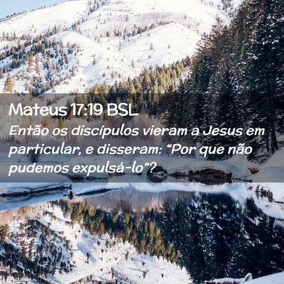 Picture 02 - Mateus 17:19 BSL - Então os discípulos vieram a Jesus em - Bible Verse Picture