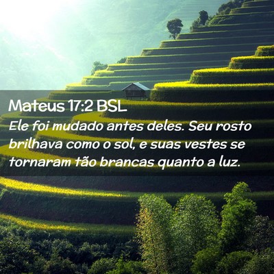 Picture 02 - Mateus 17:2 BSL - Ele foi mudado antes deles. Seu rosto brilhava - Bible Verse Picture