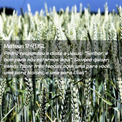 Picture 02 - Mateus 17:4 BSL - Pedro respondeu e disse a Jesus: “Senhor, é - Bible Verse Picture