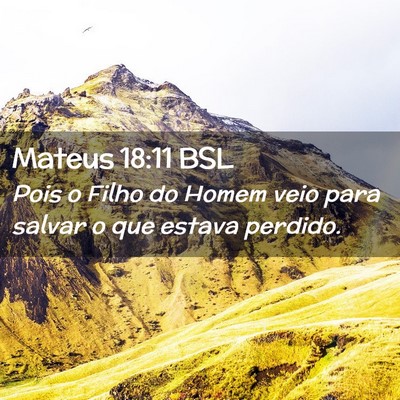 Picture 02 - Mateus 18:11 BSL - Pois o Filho do Homem veio para salvar o que - Bible Verse Picture