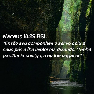 Picture 02 - Mateus 18:29 BSL - “Então seu companheiro servo caiu a seus pés - Bible Verse Picture