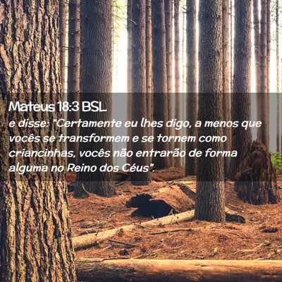 Picture 02 - Mateus 18:3 BSL - e disse: “Certamente eu lhes digo, a menos que - Bible Verse Picture