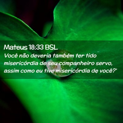Picture 02 - Mateus 18:33 BSL - Você não deveria também ter tido misericórdia - Bible Verse Picture