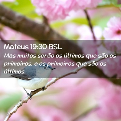 Picture 02 - Mateus 19:30 BSL - Mas muitos serão os últimos que são os - Bible Verse Picture