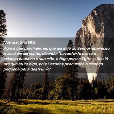 Picture 02 - Mateus 2:13 BSL - Agora que partiram, eis que um anjo do Senhor - Bible Verse Picture