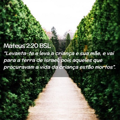 Picture 02 - Mateus 2:20 BSL - “Levanta-te e leva a criança e sua mãe, e vai - Bible Verse Picture