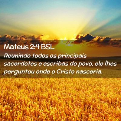 Picture 02 - Mateus 2:4 BSL - Reunindo todos os principais sacerdotes e - Bible Verse Picture