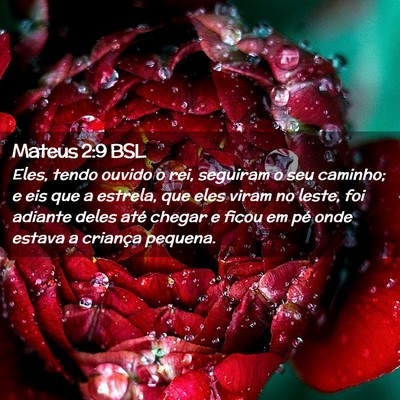 Picture 02 - Mateus 2:9 BSL - Eles, tendo ouvido o rei, seguiram o seu caminho; - Bible Verse Picture