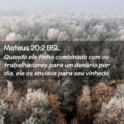 Picture 02 - Mateus 20:2 BSL - Quando ele tinha combinado com os trabalhadores - Bible Verse Picture
