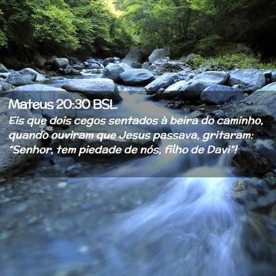 Picture 02 - Mateus 20:30 BSL - Eis que dois cegos sentados à beira do caminho, - Bible Verse Picture