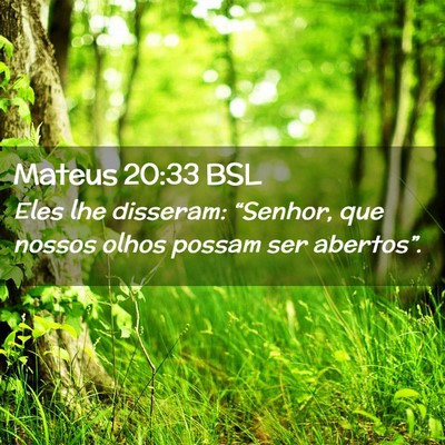 Picture 02 - Mateus 20:33 BSL - Eles lhe disseram: “Senhor, que nossos olhos - Bible Verse Picture