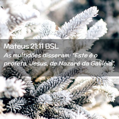 Picture 02 - Mateus 21:11 BSL - As multidões disseram: “Este é o profeta, - Bible Verse Picture