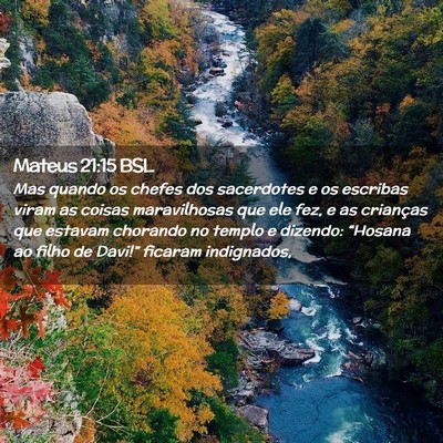 Picture 02 - Mateus 21:15 BSL - Mas quando os chefes dos sacerdotes e os escribas - Bible Verse Picture