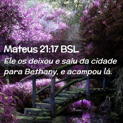 Picture 02 - Mateus 21:17 BSL - Ele os deixou e saiu da cidade para Bethany, e - Bible Verse Picture