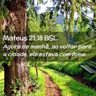 Picture 02 - Mateus 21:18 BSL - Agora de manhã, ao voltar para a cidade, ele - Bible Verse Picture