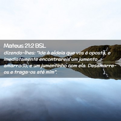 Picture 02 - Mateus 21:2 BSL - dizendo-lhes: “Ide à aldeia que vos é oposta, - Bible Verse Picture
