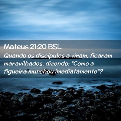 Picture 02 - Mateus 21:20 BSL - Quando os discípulos a viram, ficaram - Bible Verse Picture