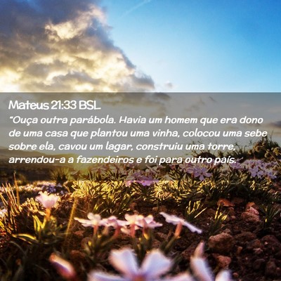 Picture 02 - Mateus 21:33 BSL - “Ouça outra parábola. Havia um homem que era - Bible Verse Picture
