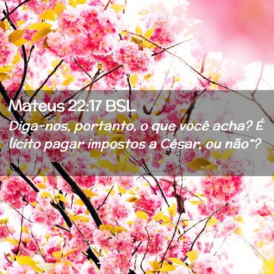 Picture 02 - Mateus 22:17 BSL - Diga-nos, portanto, o que você acha? É lícito - Bible Verse Picture