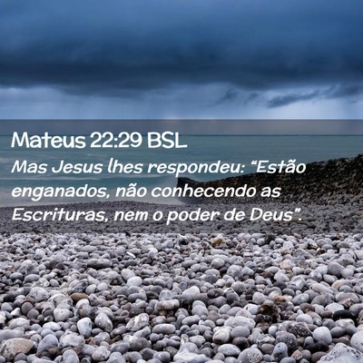 Picture 02 - Mateus 22:29 BSL - Mas Jesus lhes respondeu: “Estão enganados, - Bible Verse Picture