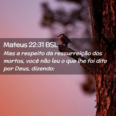 Picture 02 - Mateus 22:31 BSL - Mas a respeito da ressurreição dos mortos, - Bible Verse Picture