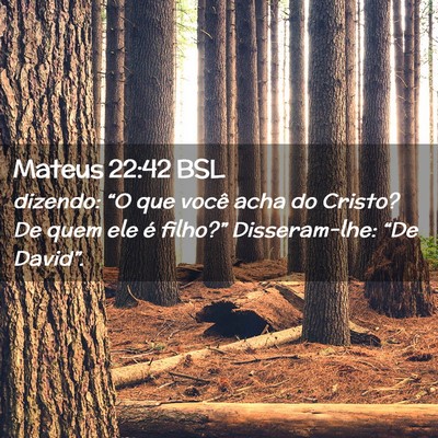 Picture 02 - Mateus 22:42 BSL - dizendo: “O que você acha do Cristo? De quem - Bible Verse Picture
