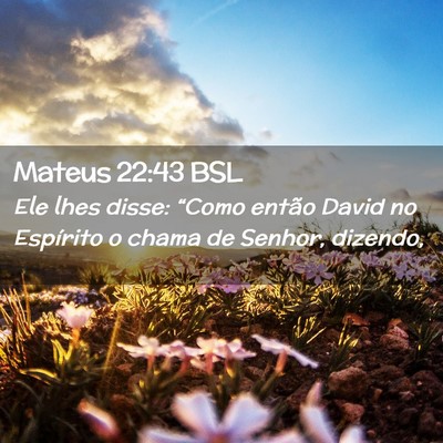 Picture 02 - Mateus 22:43 BSL - Ele lhes disse: “Como então David no Espírito - Bible Verse Picture