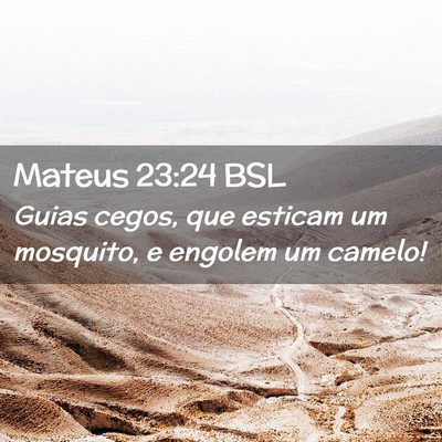 Picture 02 - Mateus 23:24 BSL - Guias cegos, que esticam um mosquito, e engolem - Bible Verse Picture