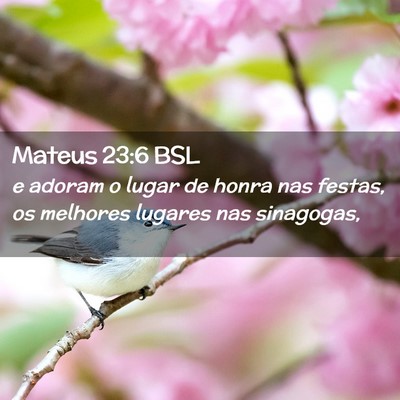 Picture 02 - Mateus 23:6 BSL - e adoram o lugar de honra nas festas, os melhores - Bible Verse Picture