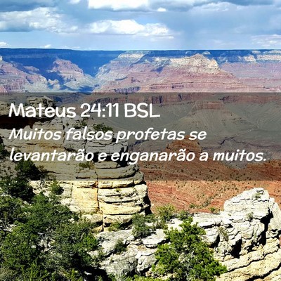 Picture 02 - Mateus 24:11 BSL - Muitos falsos profetas se levantarão e - Bible Verse Picture