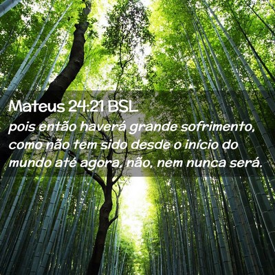 Picture 02 - Mateus 24:21 BSL - pois então haverá grande sofrimento, como não - Bible Verse Picture