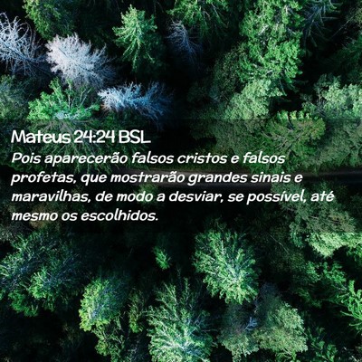 Picture 02 - Mateus 24:24 BSL - Pois aparecerão falsos cristos e falsos - Bible Verse Picture