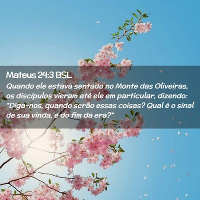 Picture 02 - Mateus 24:3 BSL - Quando ele estava sentado no Monte das Oliveiras, - Bible Verse Picture