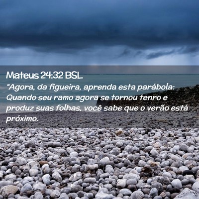 Picture 02 - Mateus 24:32 BSL - “Agora, da figueira, aprenda esta parábola: - Bible Verse Picture