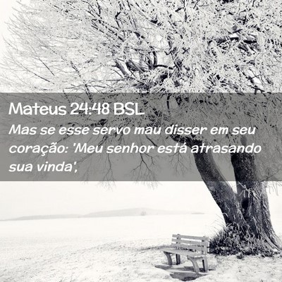 Picture 02 - Mateus 24:48 BSL - Mas se esse servo mau disser em seu coração: - Bible Verse Picture