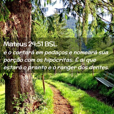 Picture 02 - Mateus 24:51 BSL - e o cortará em pedaços e nomeará sua porção - Bible Verse Picture