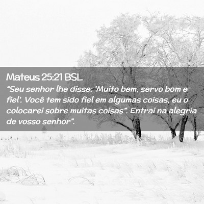 Picture 02 - Mateus 25:21 BSL - “Seu senhor lhe disse: 'Muito bem, servo bom e - Bible Verse Picture