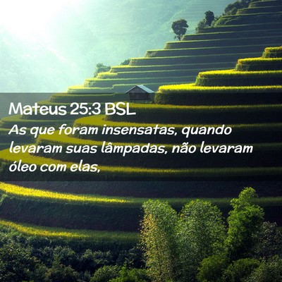 Picture 02 - Mateus 25:3 BSL - As que foram insensatas, quando levaram suas - Bible Verse Picture