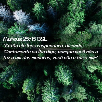 Picture 02 - Mateus 25:45 BSL - “Então ele lhes responderá, dizendo: - Bible Verse Picture