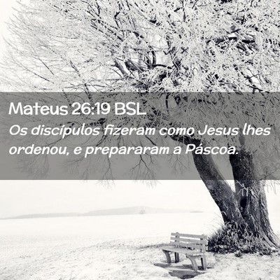Picture 02 - Mateus 26:19 BSL - Os discípulos fizeram como Jesus lhes ordenou, e - Bible Verse Picture