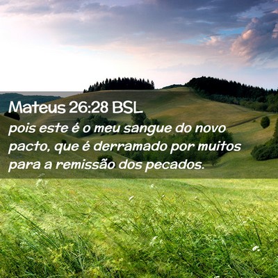 Picture 02 - Mateus 26:28 BSL - pois este é o meu sangue do novo pacto, que é - Bible Verse Picture
