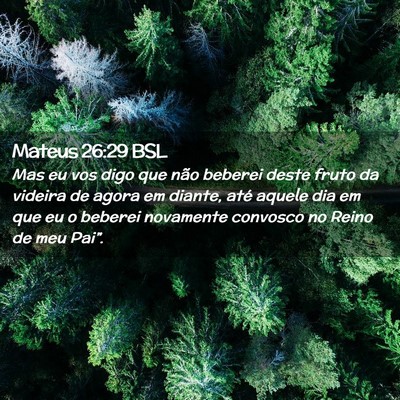 Picture 02 - Mateus 26:29 BSL - Mas eu vos digo que não beberei deste fruto da - Bible Verse Picture