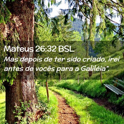 Picture 02 - Mateus 26:32 BSL - Mas depois de ter sido criado, irei antes de - Bible Verse Picture