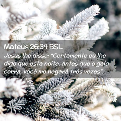 Picture 02 - Mateus 26:34 BSL - Jesus lhe disse: “Certamente eu lhe digo que - Bible Verse Picture