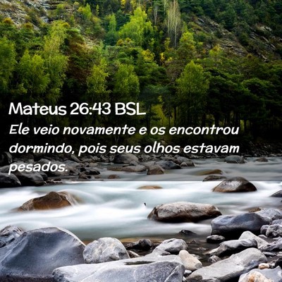 Picture 02 - Mateus 26:43 BSL - Ele veio novamente e os encontrou dormindo, pois - Bible Verse Picture